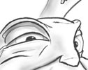 Jack the rabbit